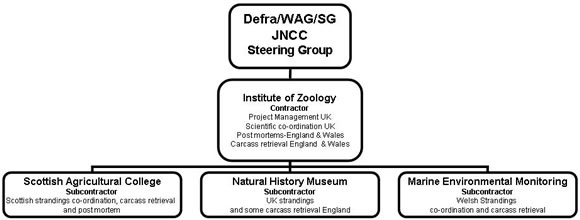 The organisational structure of the CSIP and the responsibilities of each organisation