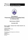 Final Report: Post-mortem research feasibility study on cetacean ears.